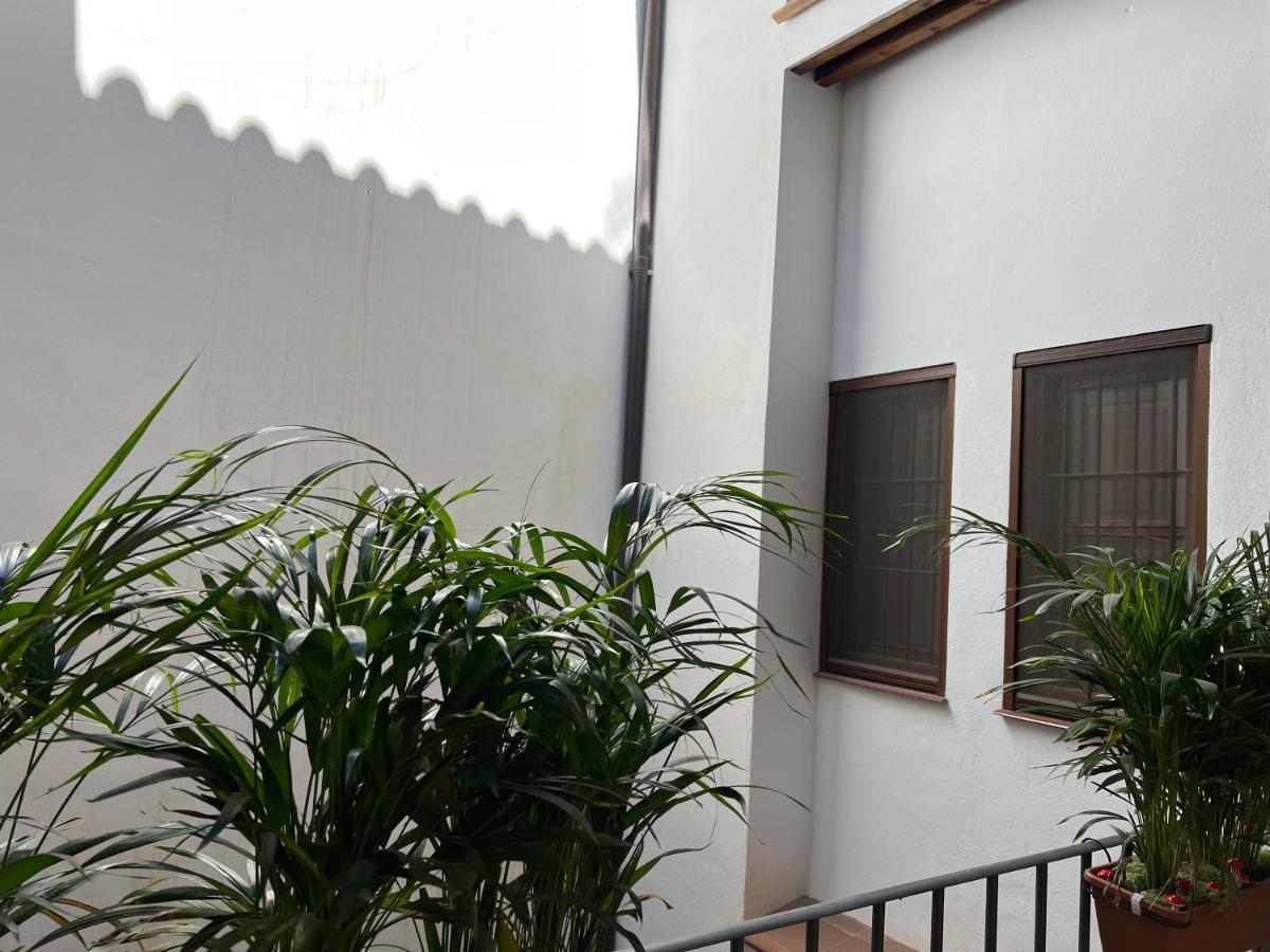 Amazing Apartment In Malaga Oldtown Calle Carreteria Free Wifi&Ac Dış mekan fotoğraf